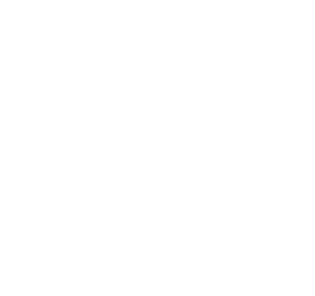 В Надежных Руках